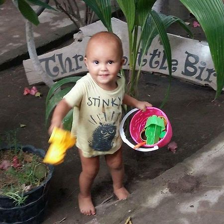 Three Little Birds Homestay Gili Trawangan Zewnętrze zdjęcie