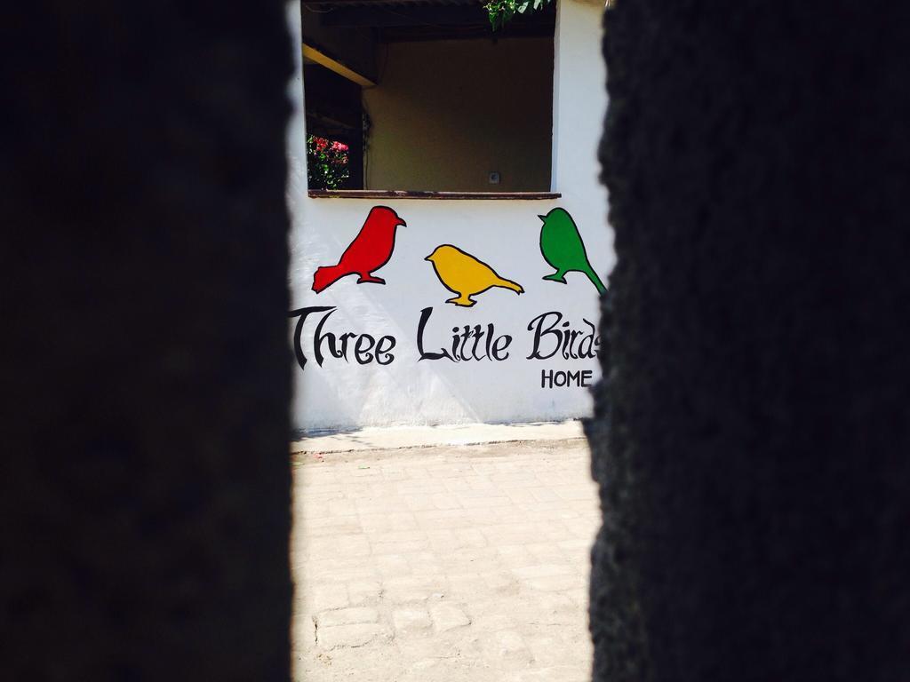 Three Little Birds Homestay Gili Trawangan Zewnętrze zdjęcie