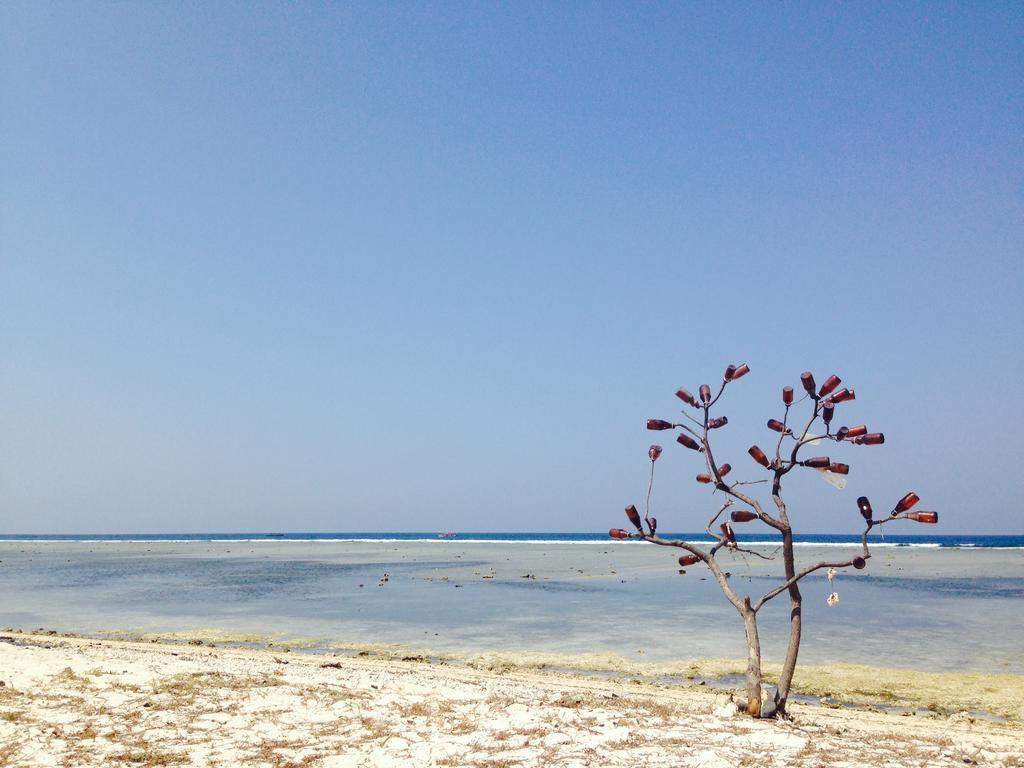 Three Little Birds Homestay Gili Trawangan Zewnętrze zdjęcie