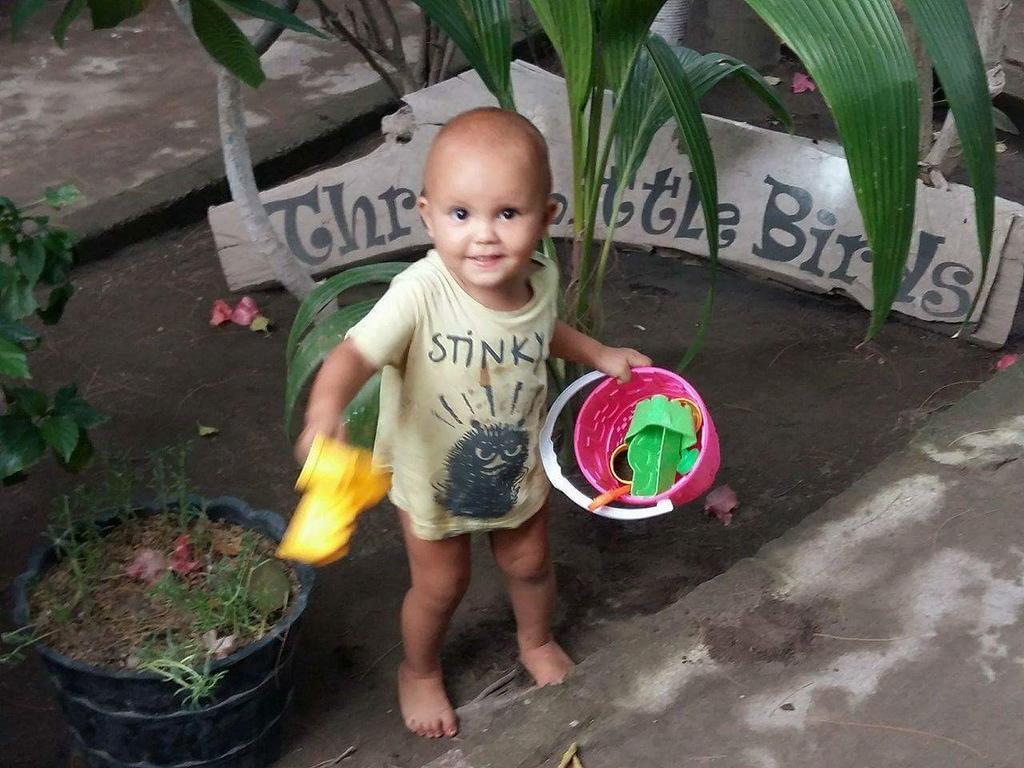 Three Little Birds Homestay Gili Trawangan Zewnętrze zdjęcie